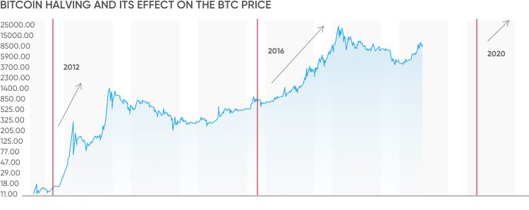 bitcoin a la meitat